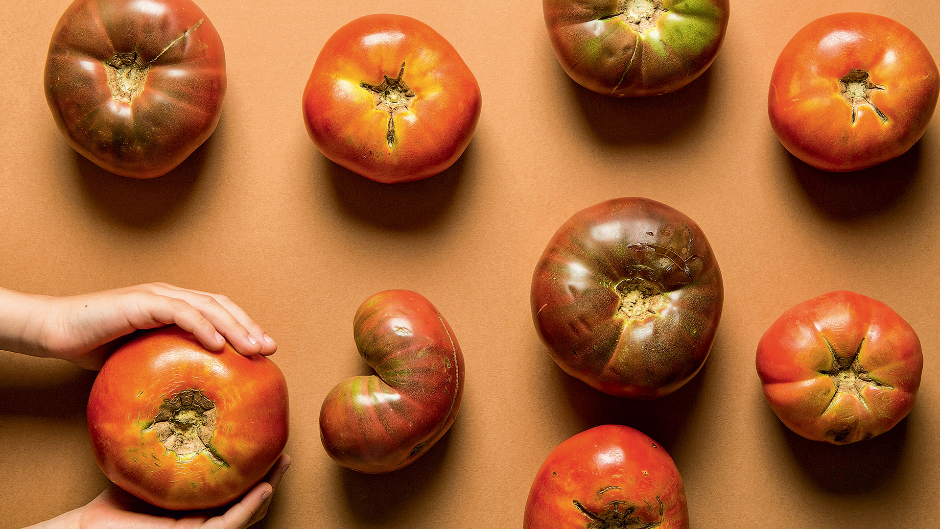 17 νόστιμες περιπέτειες στα πέριξ της Αθήνας: από ξυλόφουρνοι μέχρι μυστικές καντίνες-1