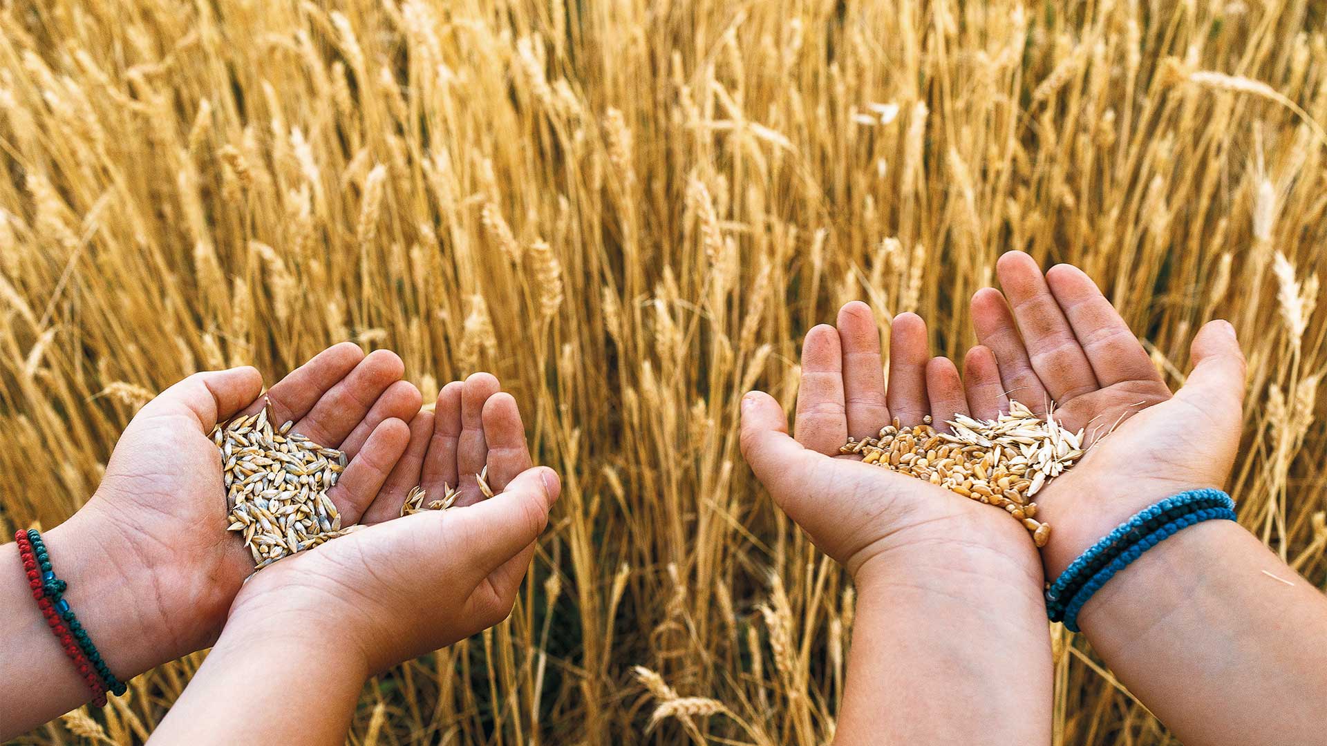 17 νόστιμες περιπέτειες στα πέριξ της Αθήνας: από ξυλόφουρνοι μέχρι μυστικές καντίνες-2