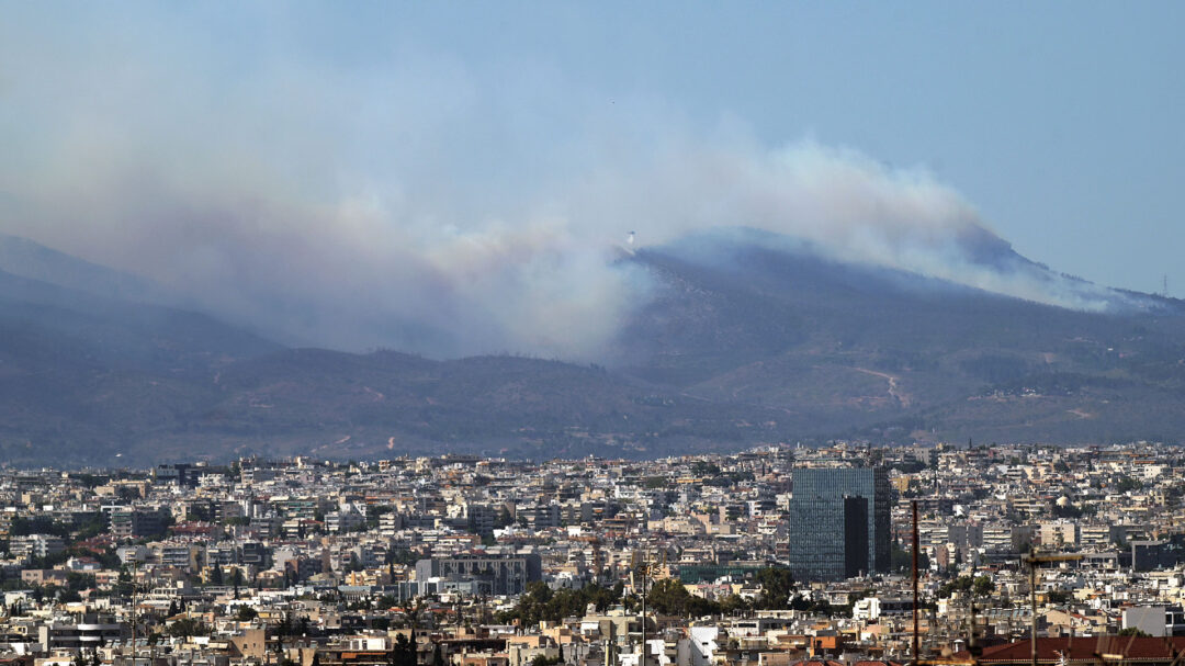 χαμηλή-βλάστηση-ο-νέος-εφιάλτης-της-563114311