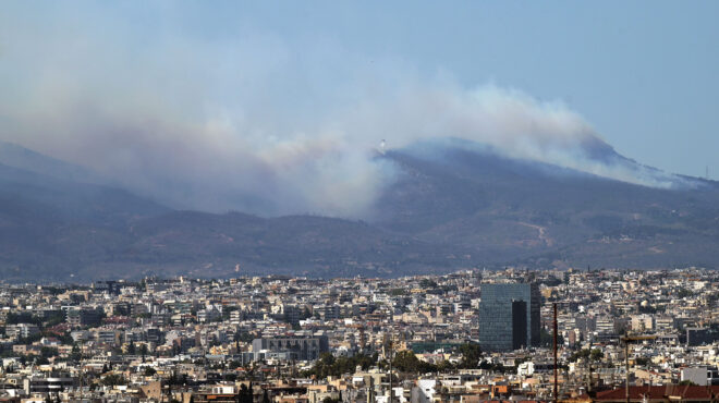 χαμηλή-βλάστηση-ο-νέος-εφιάλτης-της-563114311