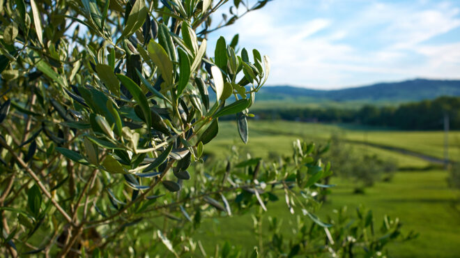κάτω-από-40c-η-θερμοκρασία-μετά-από-σερί-16-563142061