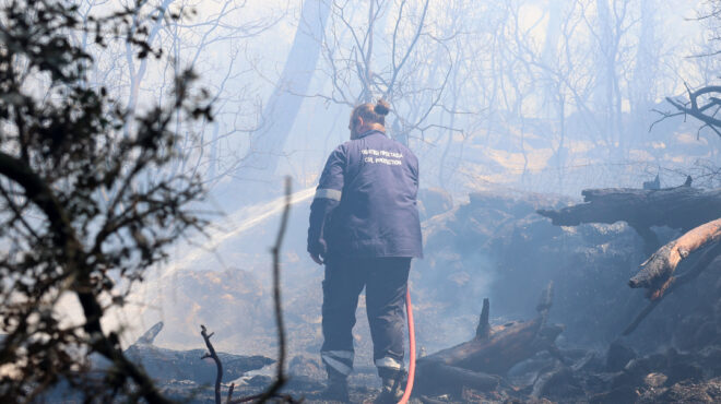 πυροσβεστική-50-αγροτοδασικές-πυρκαγι-563114962