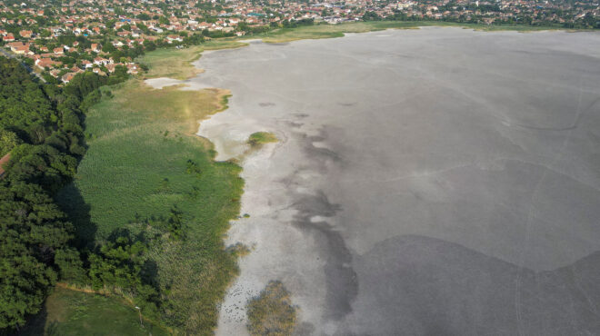 ο-καύσωνας-στέγνωσε-λίμνη-στη-σερβί-563130493