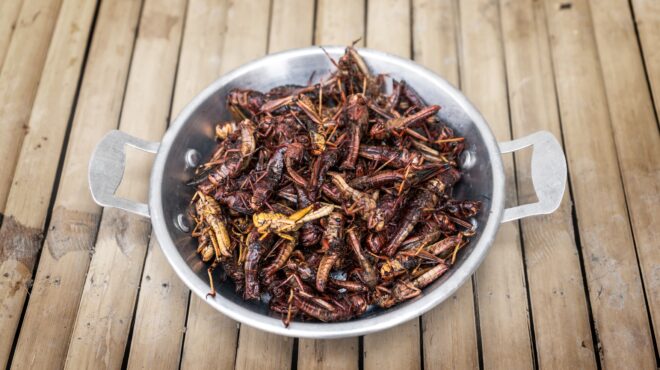 σιγκαπούρη-ακρίδες-για-μεσημεριανό-563120170