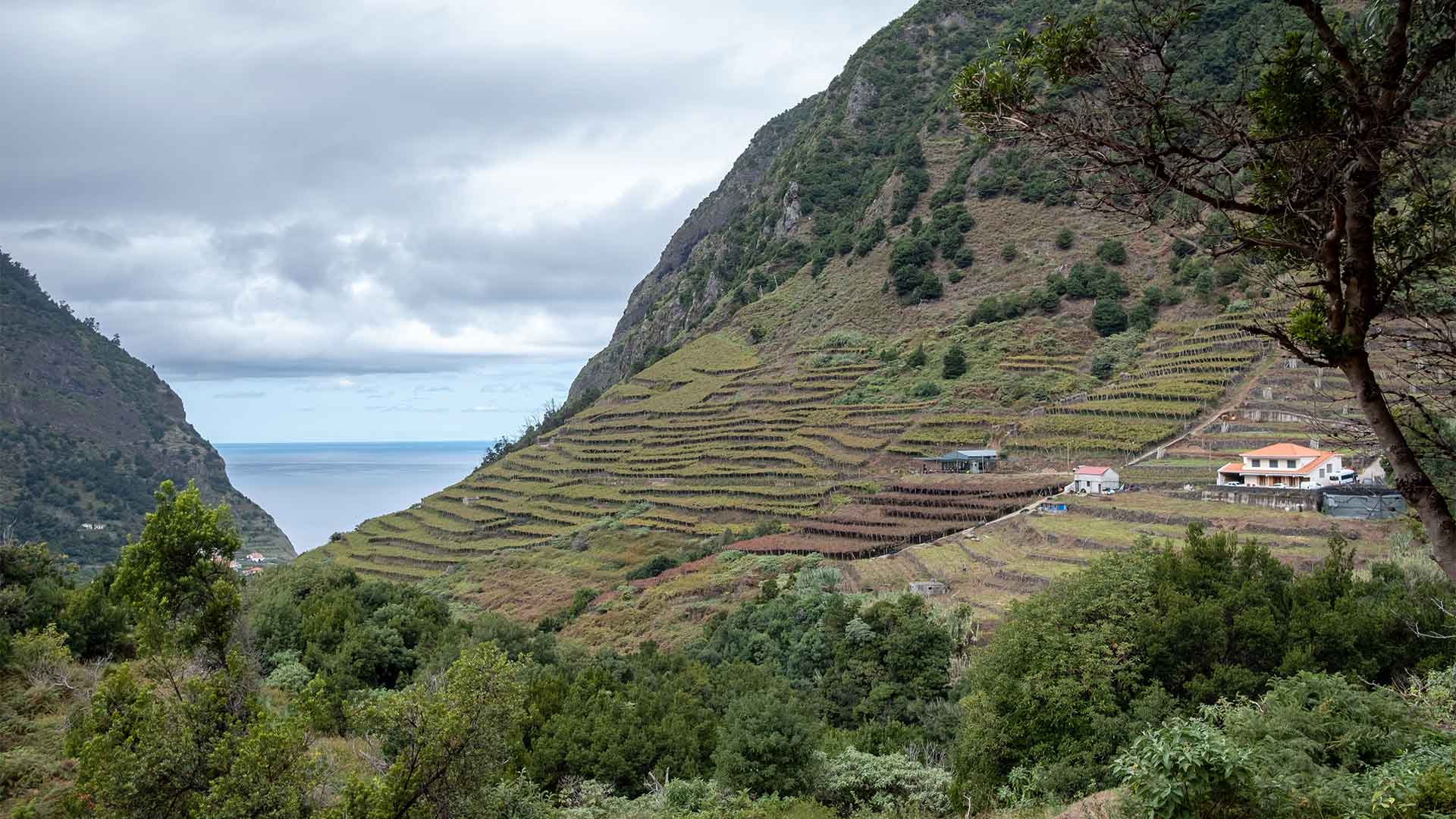 Μαδέρα: Ο πιο κοντινός τροπικός παράδεισος -3