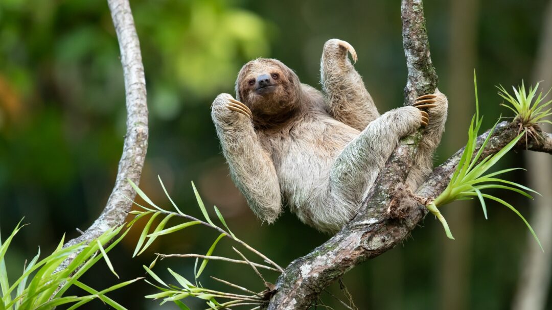 η-τέχνη-του-να-μην-κάνεις-τίποτα-563141398