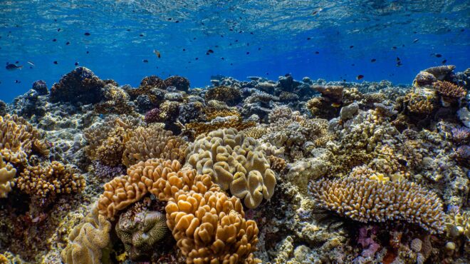 το-δικαίωμα-στο-ταξίδι-στην-εποχή-του-υ-563104006