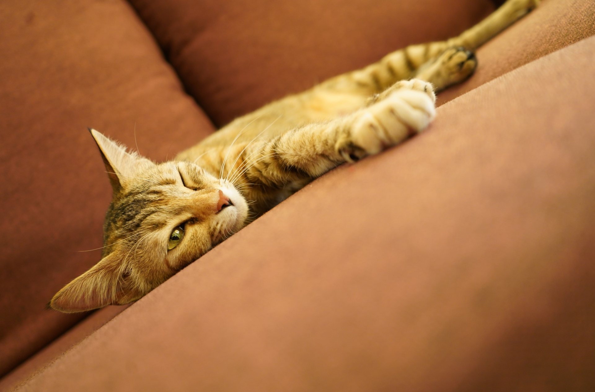 Η τέχνη του να μην κάνεις τίποτα-2