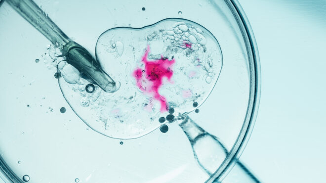 το-νομικό-κουβάρι-της-εθνικής-αρχής-563149264