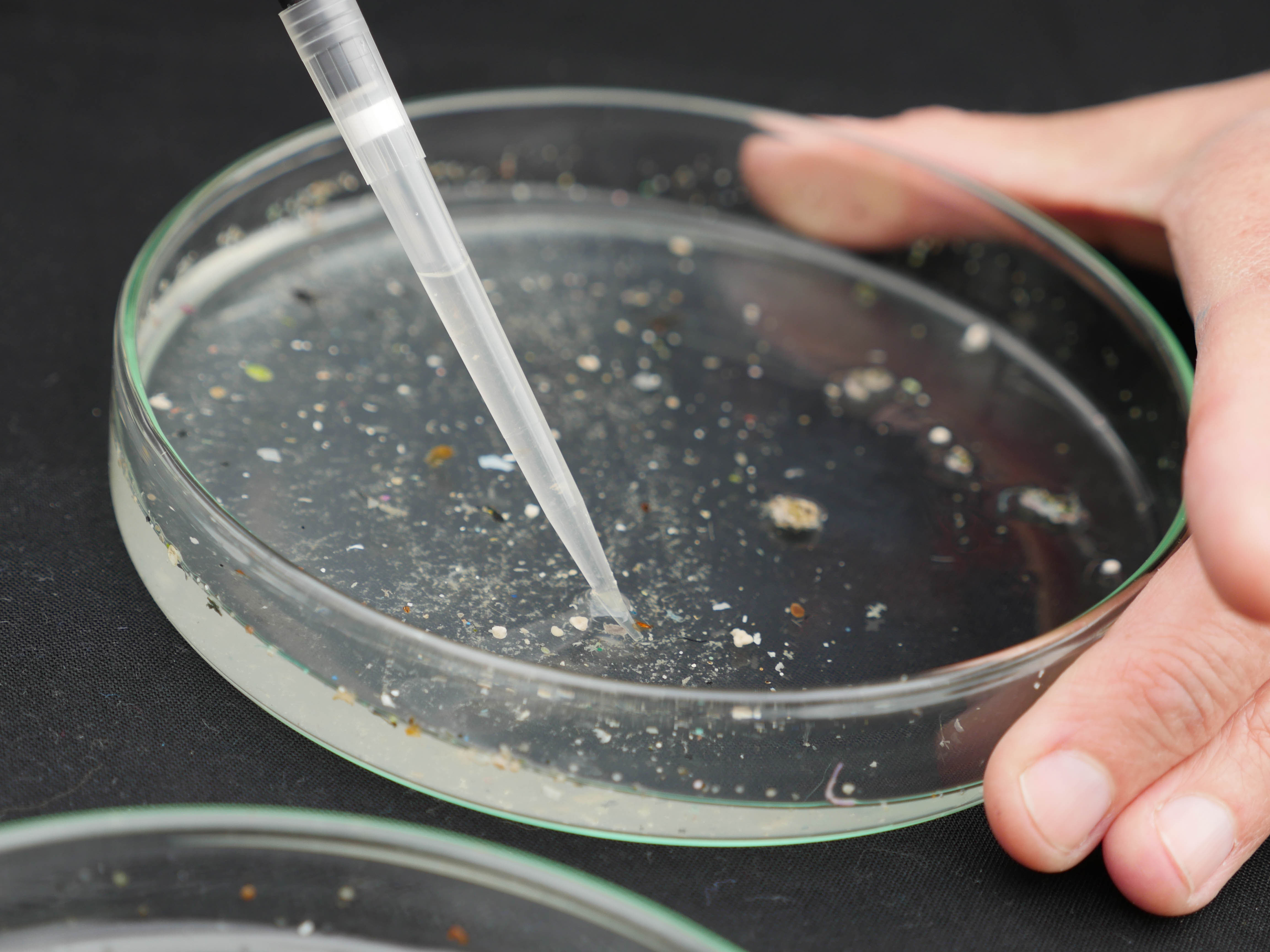 Ενα πλωτό «κουκούτσι ελιάς» ερευνά τις ελληνικές ακτές-8