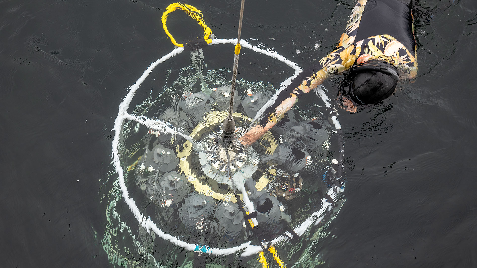 Ενα πλωτό «κουκούτσι ελιάς» ερευνά τις ελληνικές ακτές-10