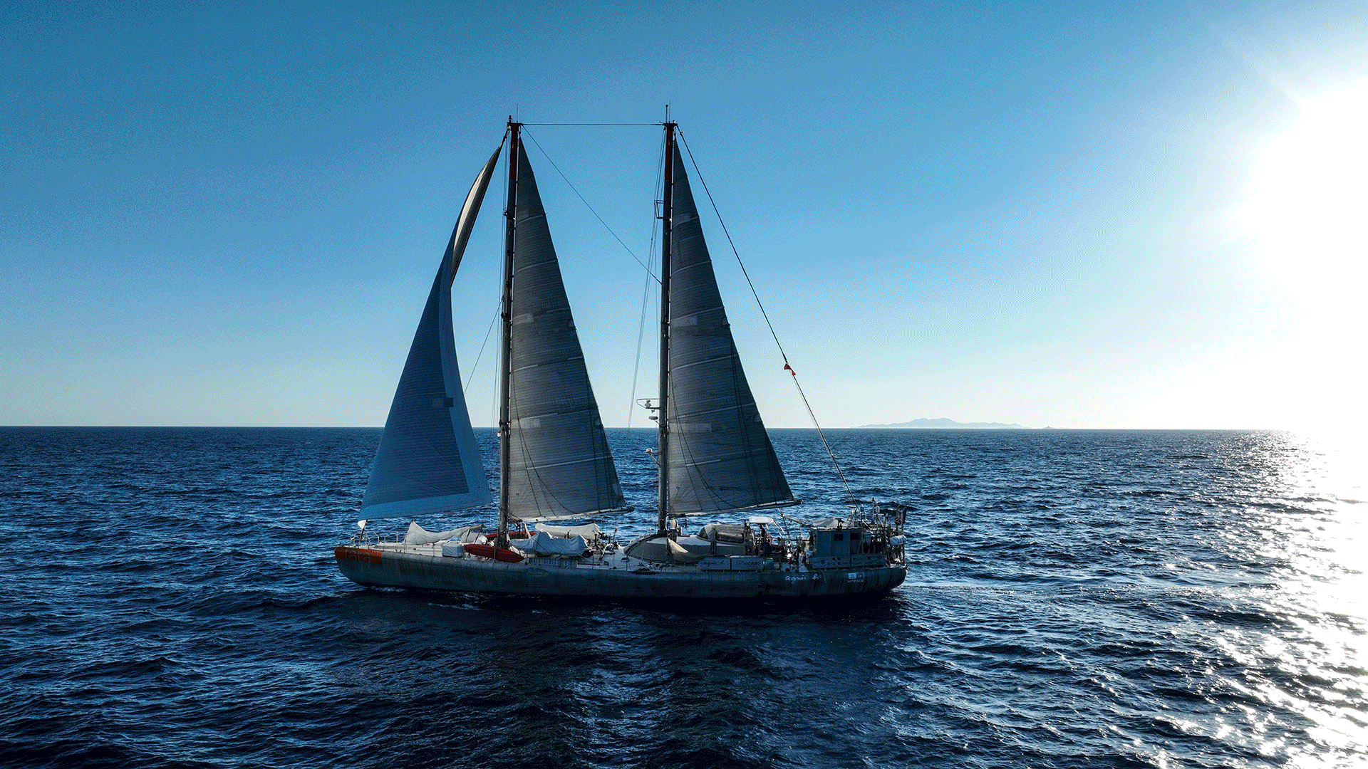 ενα-πλωτό-κουκούτσι-ελιάς-ερευνά-τι-563129038