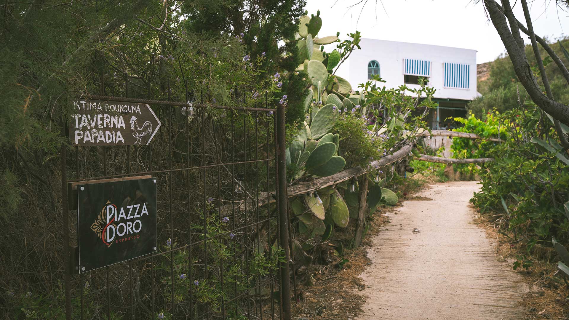 Ανάφη: Στην ταβέρνα της παπαδιάς στον Ρούκουνα μαγειρεύουν με παραθαλάσσια κηπευτικά-1