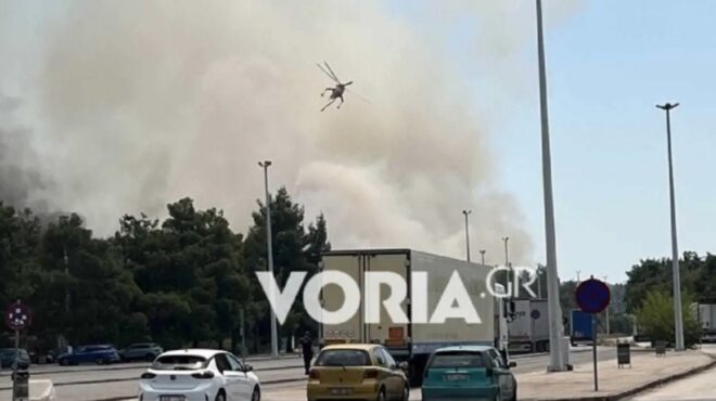 φωτιά-στα-σύνορα-των-ευζώνων-εκλεισ-563130511