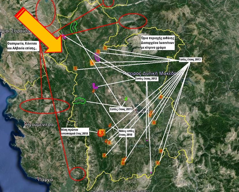 Τα πλατάνια της Ηπείρου υποφέρουν από έλκος-4