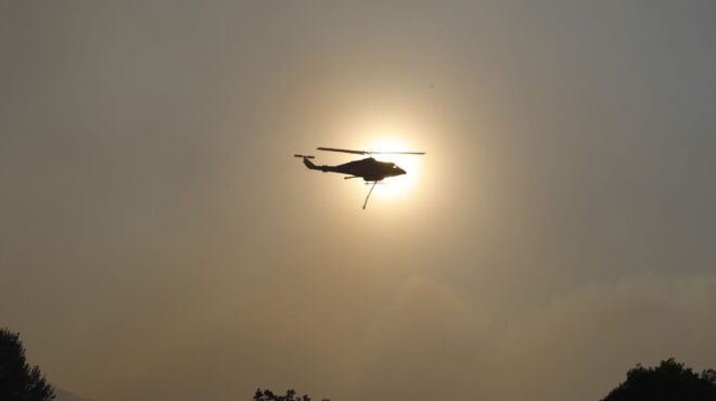 αμαλιάδα-φωτιά-καίει-έκταση-με-καλαμι-563177809