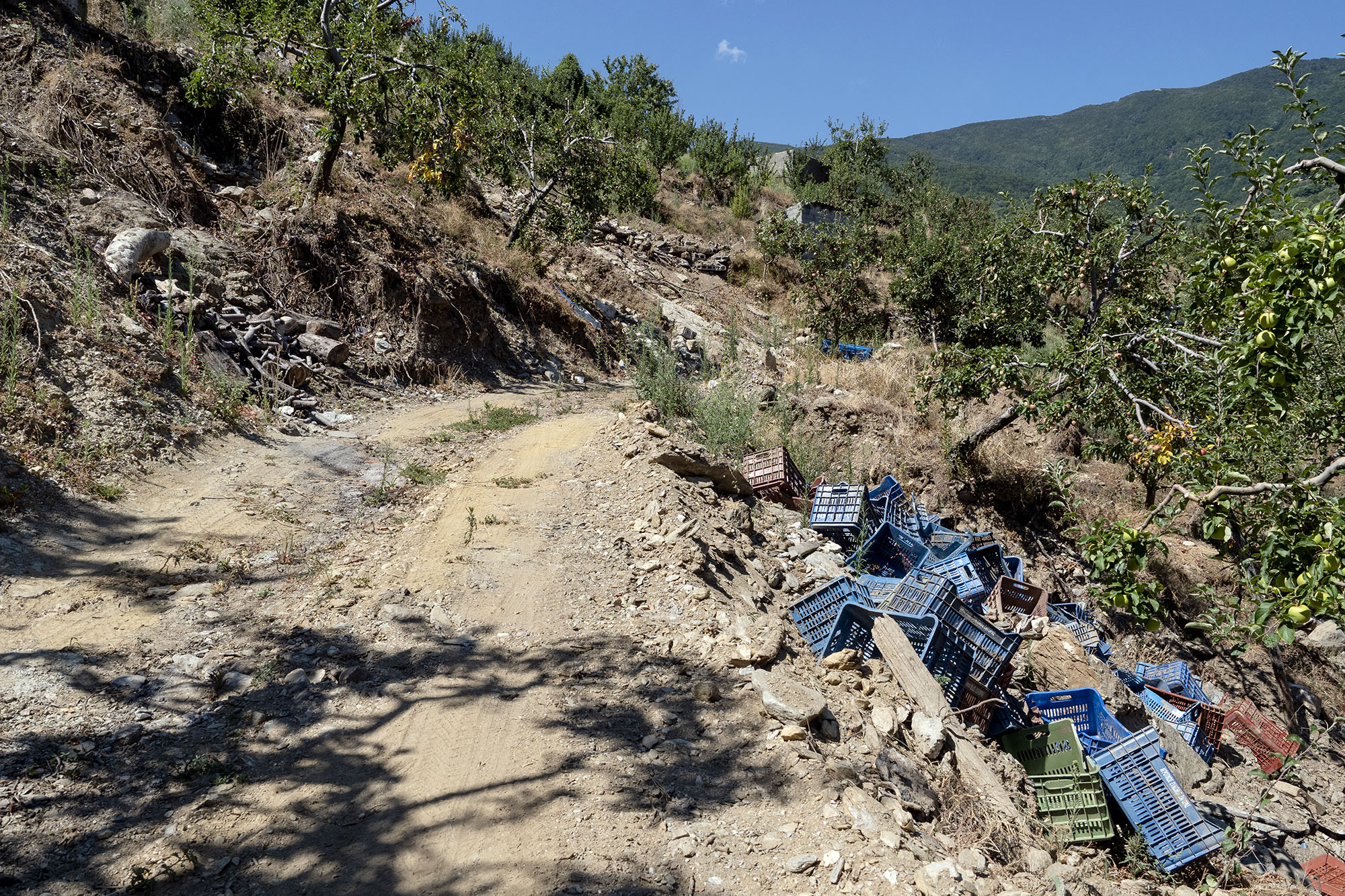 «Οποτε βρέχει είμαστε στην τσίτα»-12