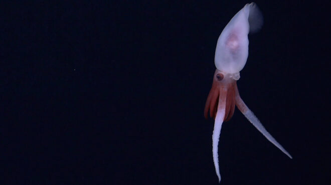 ενα-βουνό-ψηλότερο-από-τον-ολυμπο-ένα-χ-563193178