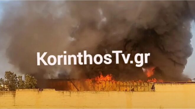 φωτιά-σε-βιομηχανία-κοντά-στο-πεδίο-βο-563177848