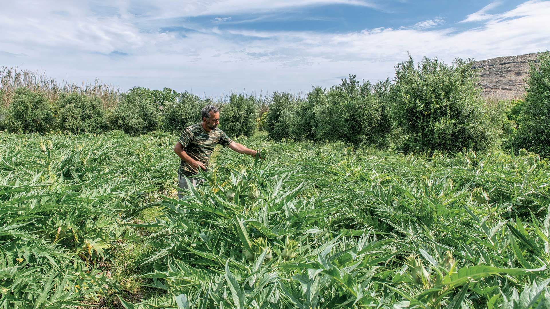 Γεύση από Κυκλάδες: Η cucina povera του Αιγαίου-6