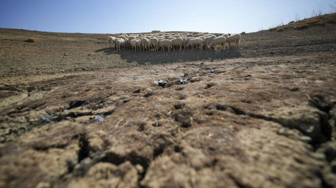 κίνδυνος-ελλείψεων-σε-τρόφιμα-λόγω-κα-563156170