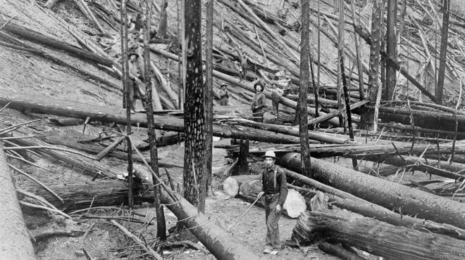 σαν-σήμερα-20-αυγούστου-1910-η-μεγάλη-πυρκ-563179258