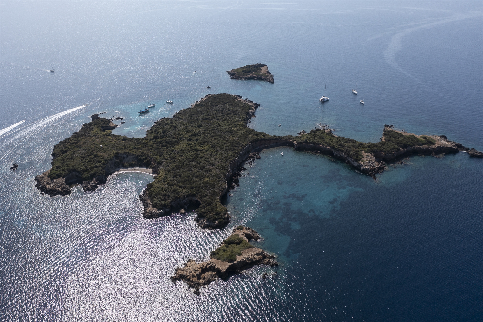 η-φορμίκουλα-ένας-επίγειος-παράδεισο-563182612