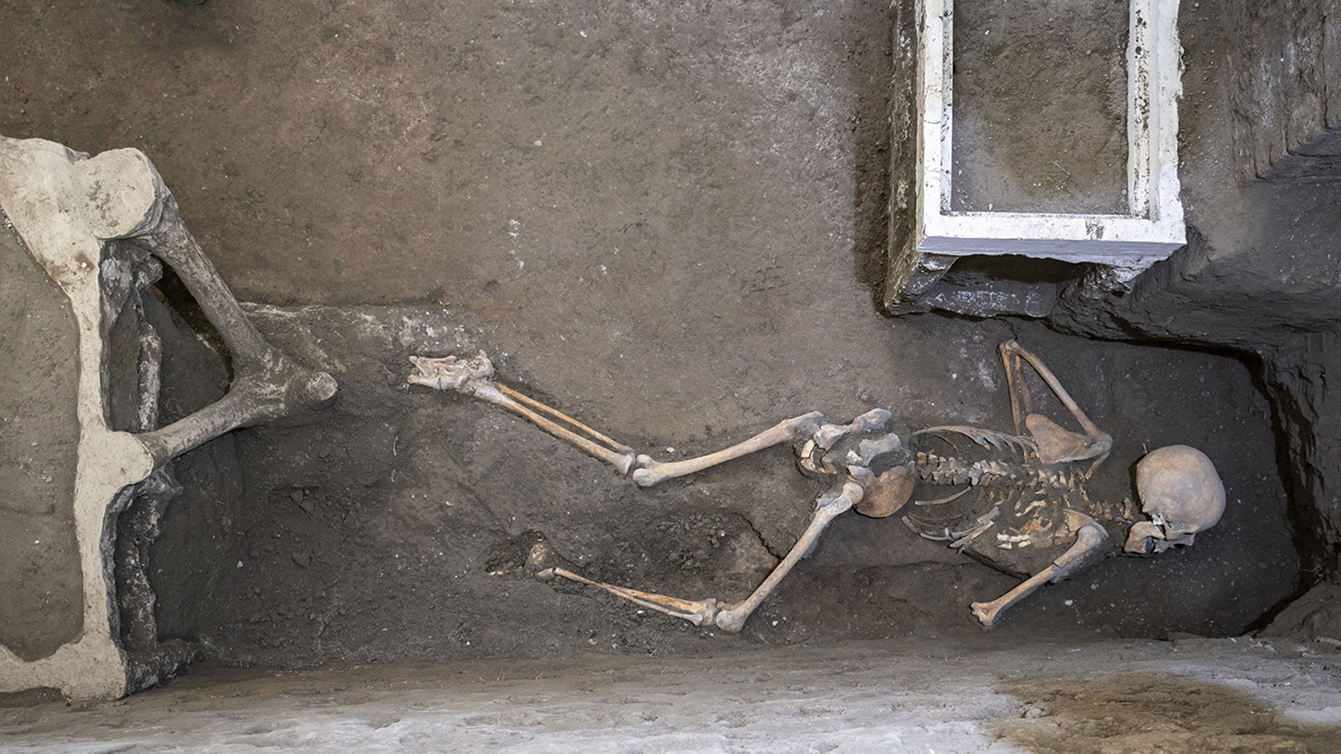 Πομπηία: Ανακαλύφθηκαν δύο ακόμα θύματα – Είχαν δίπλα τους νομίσματα και κοσμήματα-2