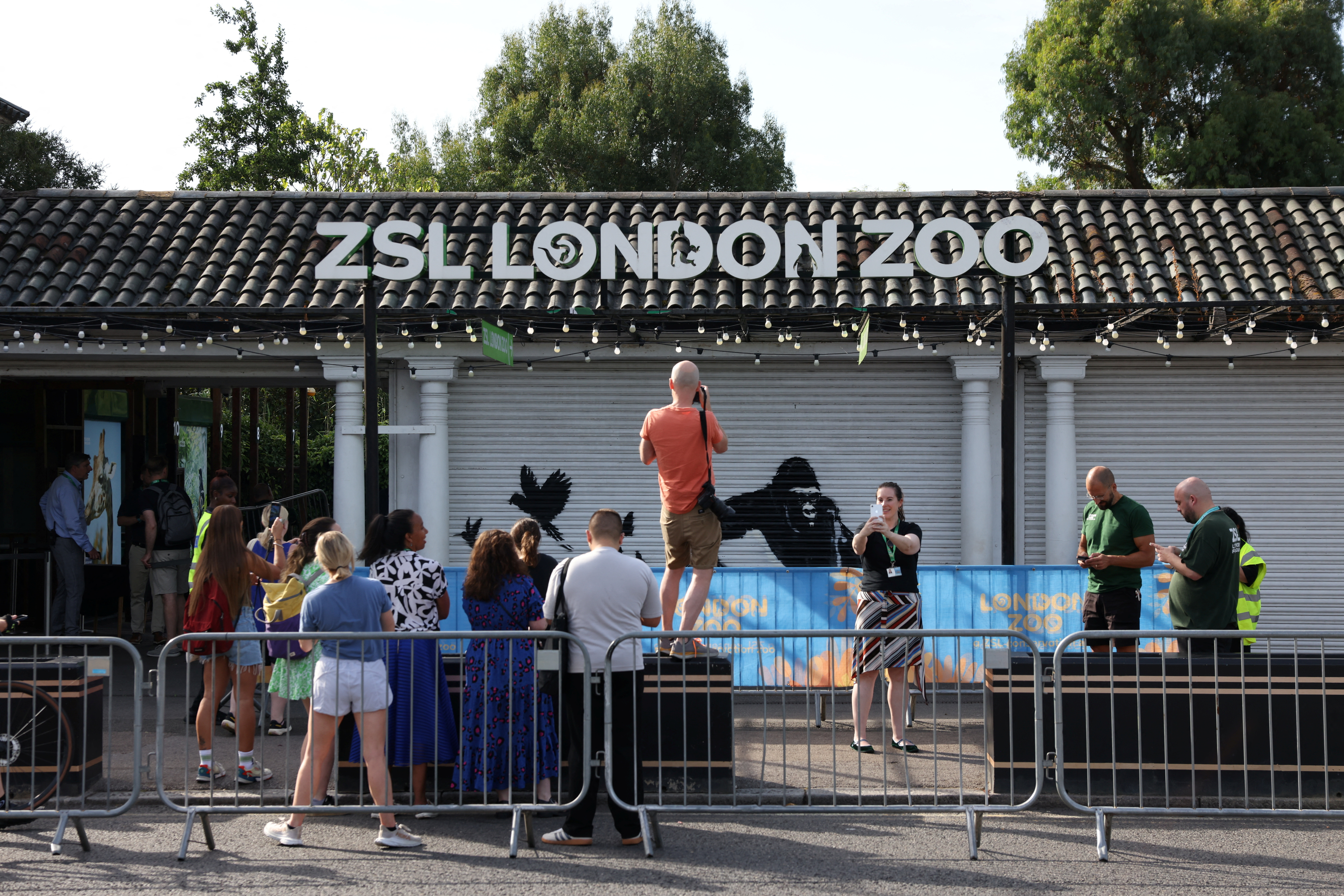 Ο ζωολογικός κήπος του Λονδίνου αφαίρεσε το τελευταίο έργο του Banksy – Ομως, γιατί;-3