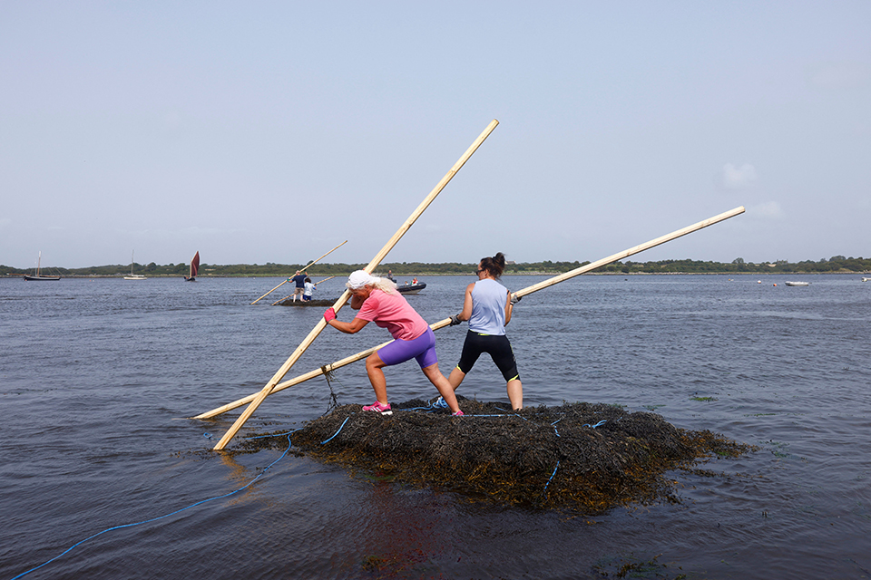 Μια φάλαινα στην λίμνη της Γενεύης-2
