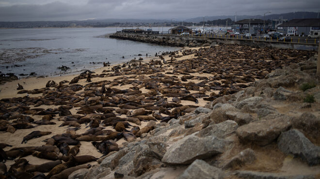 κατάληψη-563184154