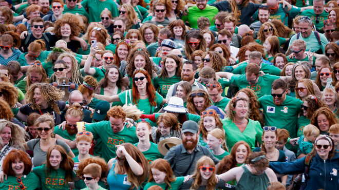 φεστιβάλ-μόνο-για-την-ολλανδία-563188903