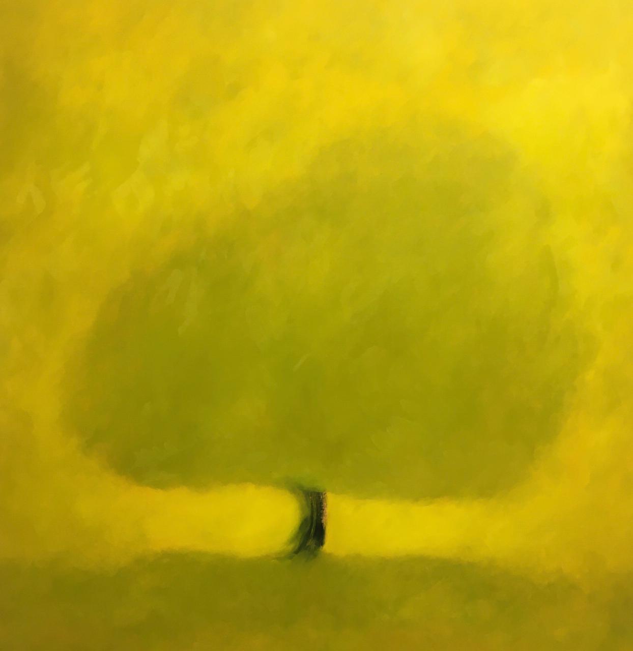 Ανάμεσα στον Ρόθκο και στον Μπουζιάνη: ένας ανατόμος των δέντρων στην Αίγινα-3