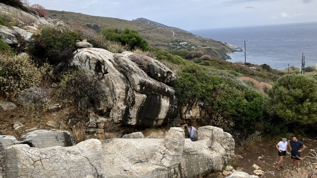 οταν-οι-τουρίστες-παρενοχλούν-τους-κο-563182528