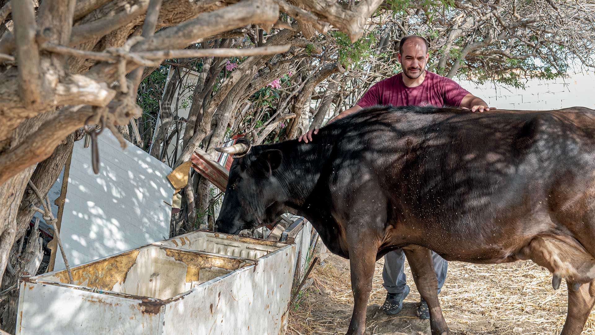 Γεύση από Κυκλάδες: Η cucina povera του Αιγαίου-8