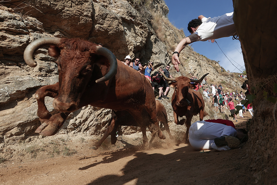 Η τέχνη ως καταφύγιο-2