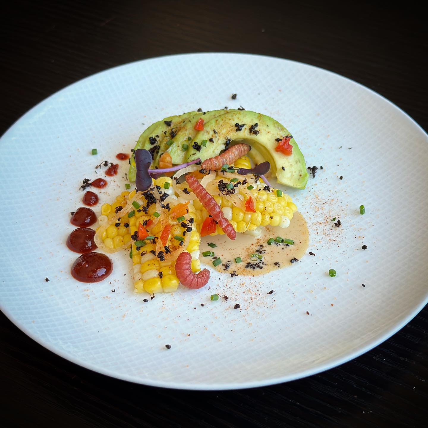 Ταραντούλες και τζιτζίκια «εισβάλλουν» στην υψηλή γαστρονομία της Νέας Υόρκης-4