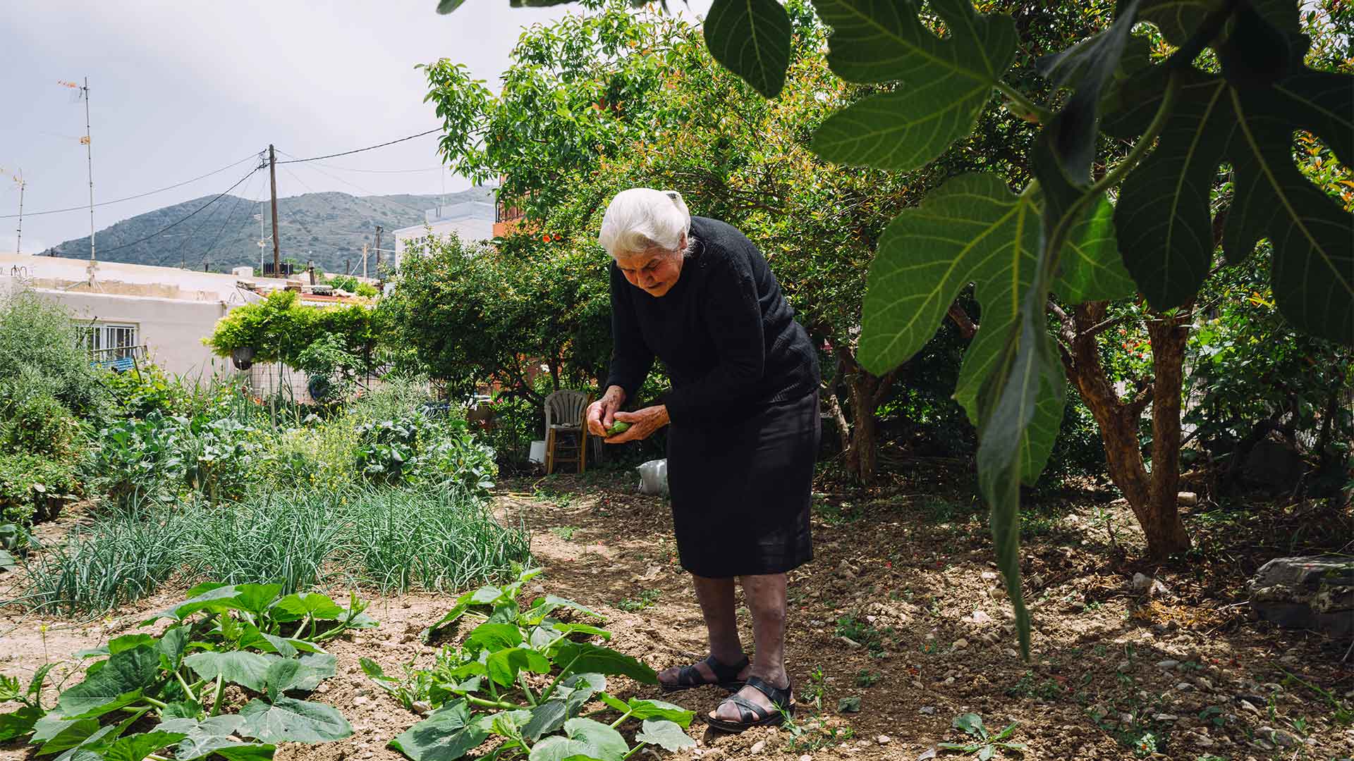 Ο γύρος της Κρήτης σε 20 καφενέδες-4