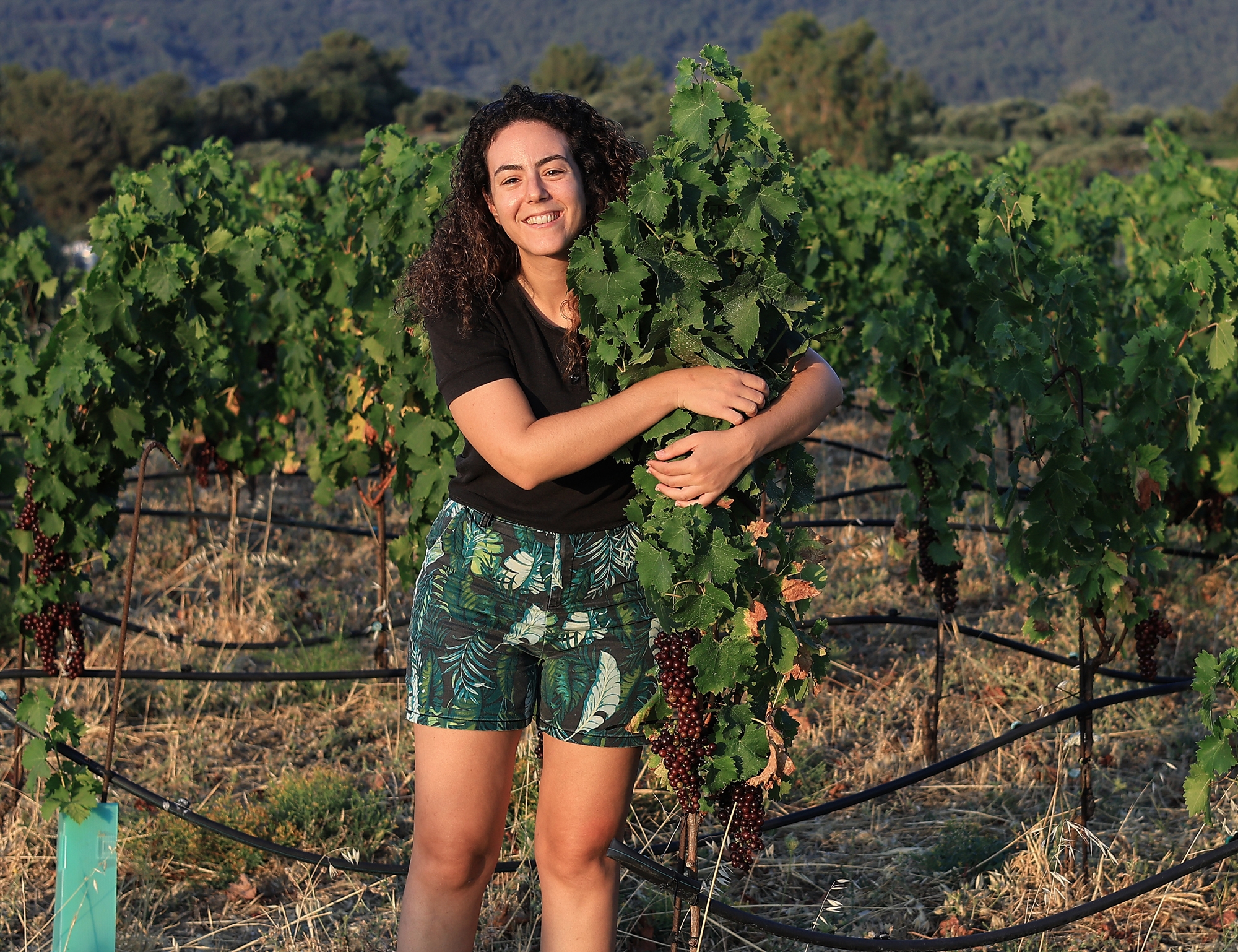 Το νησί που επιζεί στ’ αμπέλια και τους ταρσανάδες-5