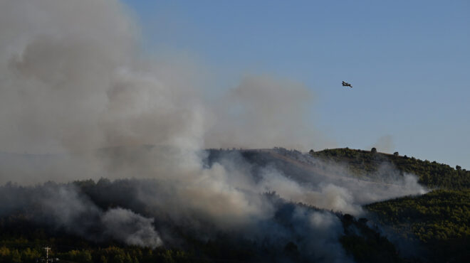 χωρίς-ενεργό-μέτωπο-οι-φωτιές-σε-εύβοι-563154124