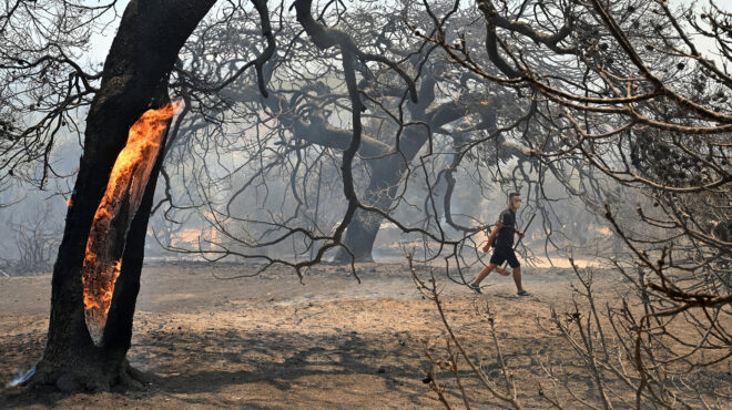 μετά-την-αυτοψία-οι-αποζημιώσεις-για-τ-563173207