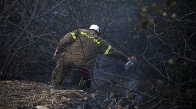 πυροσβεστική-49-πυρκαγιές-το-τελευταίο-563177851