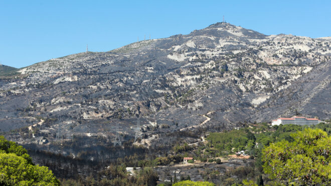 το-σχέδιο-για-την-ανάταξη-δασών-και-ρεμ-563181550
