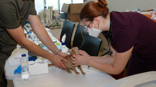 φωτιά-στην-αττική-επίσκεψη-κασσελάκη-563171599