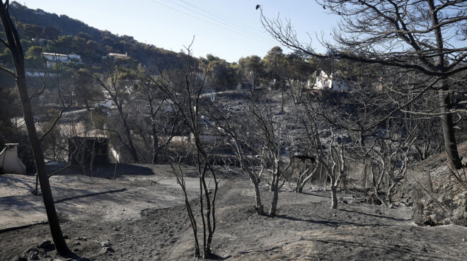 φωτιά-στην-αττική-αναστολή-συμβάσεων-563177248
