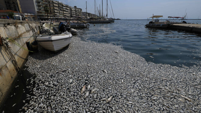 βόλος-υγειονομική-βόμβα-η-ταφή-των-νε-563194177