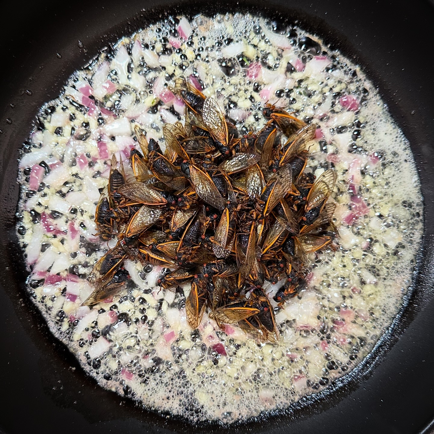 Ταραντούλες και τζιτζίκια «εισβάλλουν» στην υψηλή γαστρονομία της Νέας Υόρκης-1