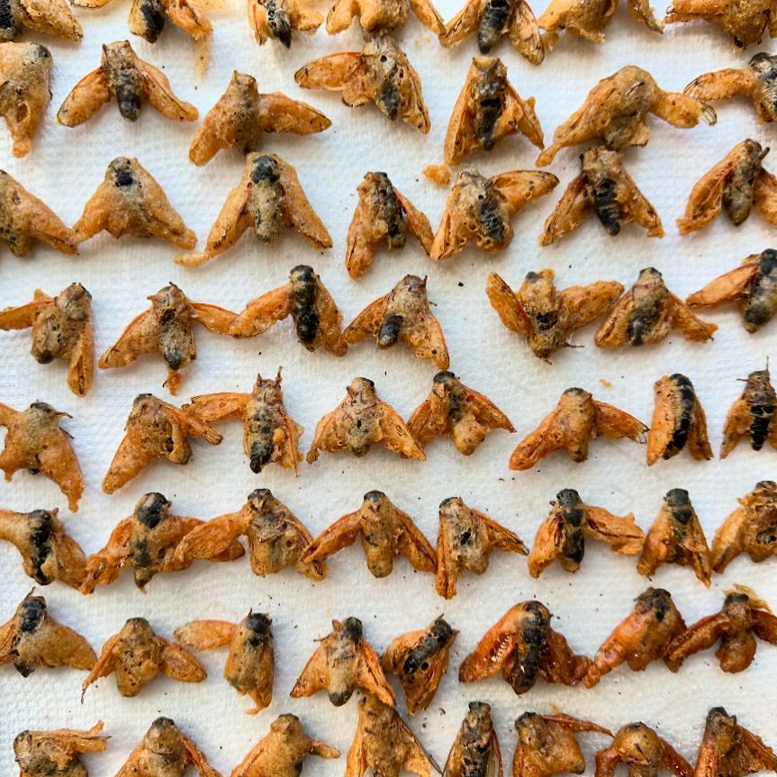 Ταραντούλες και τζιτζίκια «εισβάλλουν» στην υψηλή γαστρονομία της Νέας Υόρκης-3