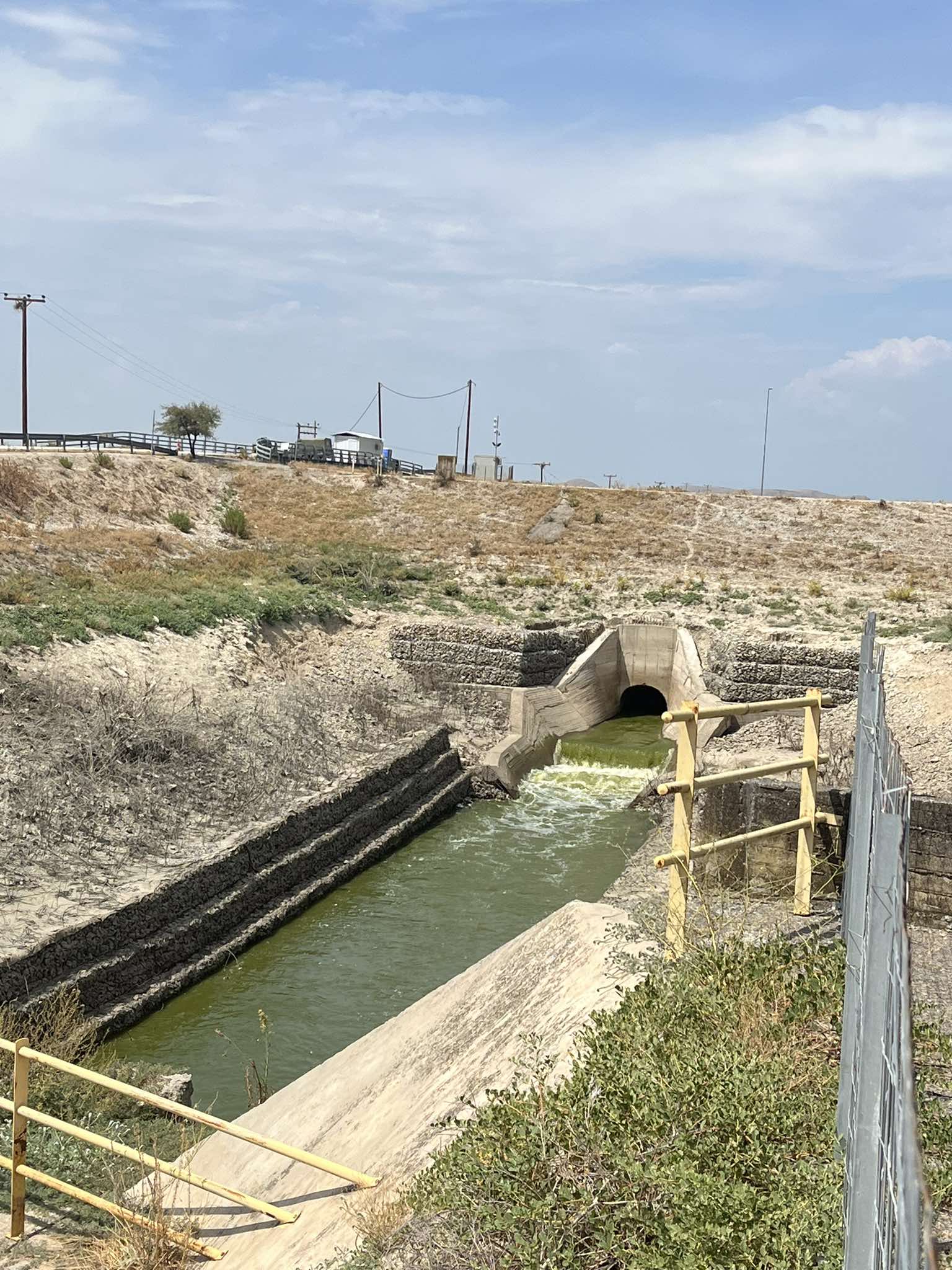 Βόλος: «Είναι ένα οικολογικό έγκλημα»-4