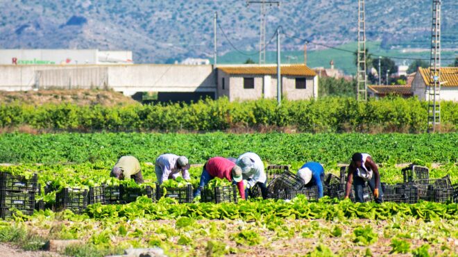 τα-παιχνίδια-με-το-εργόσημο-κοστίζο-563182936